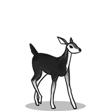 一键问题修复的{固定网站名称23}