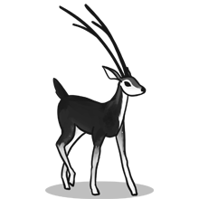 网络短信在线发送